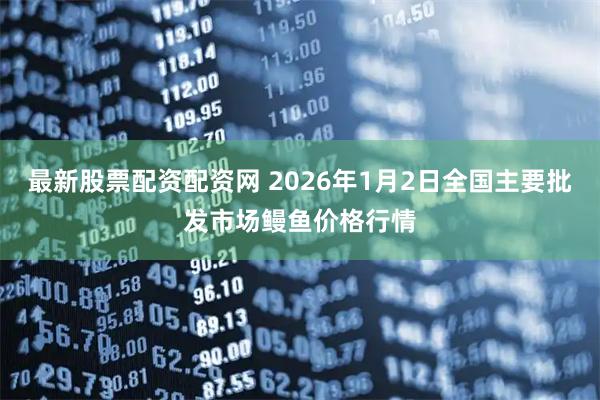 最新股票配资配资网 2026年1月2日全国主要批发市场鳗鱼价格行情